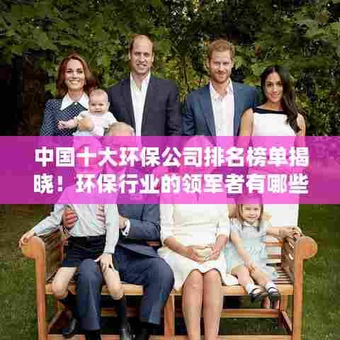 中国十大环保公司排名榜单揭晓!环保行业的领军者有哪些?