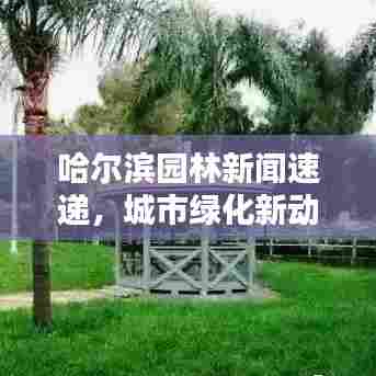 哈尔滨园林新闻速递，城市绿化新动向与创新举措揭秘