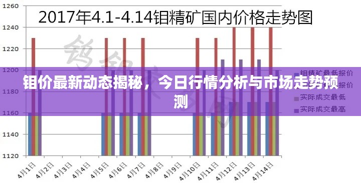 钼价最新动态揭秘，今日行情分析与市场走势预测