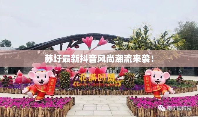 苏圩最新抖音风尚潮流来袭!