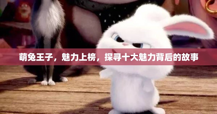 萌兔王子，魅力上榜，探寻十大魅力背后的故事