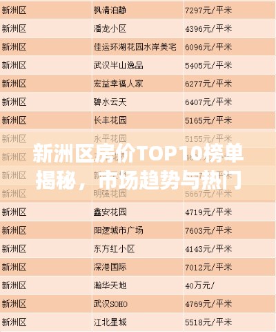 新洲区房价TOP10榜单揭秘,市场趋势与热门区域全解析