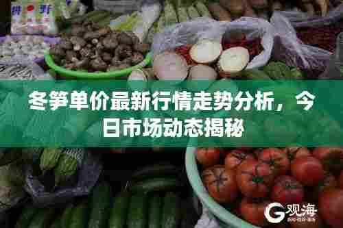 冬笋单价最新行情走势分析，今日市场动态揭秘