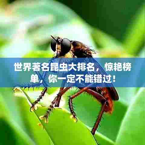 椎髻布衣 第3页