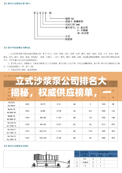 立式沙浆泵公司排名大揭秘,权威供应榜单,一网打尽!