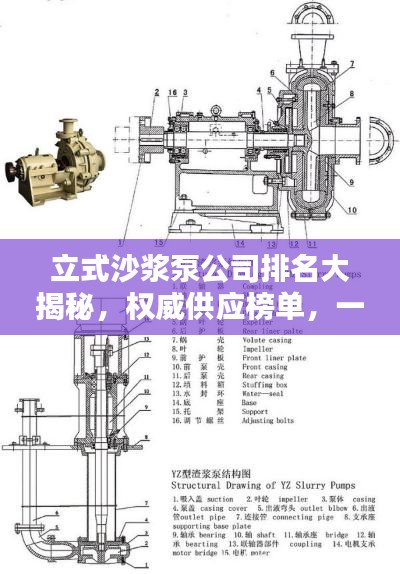 立式沙浆泵公司排名大揭秘,权威供应榜单,一网打尽!