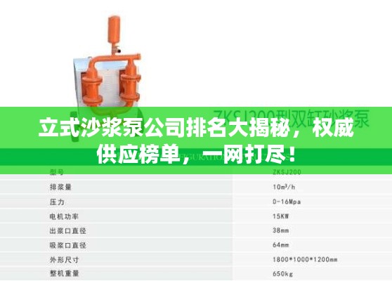 立式沙浆泵公司排名大揭秘,权威供应榜单,一网打尽!