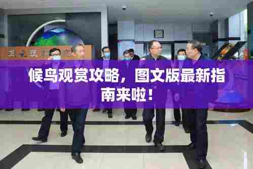 候鸟观赏攻略,图文版最新指南来啦!