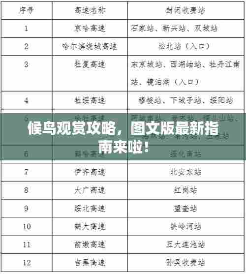 候鸟观赏攻略,图文版最新指南来啦!