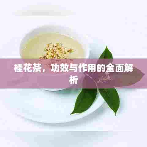 桂花茶,功效与作用的全面解析