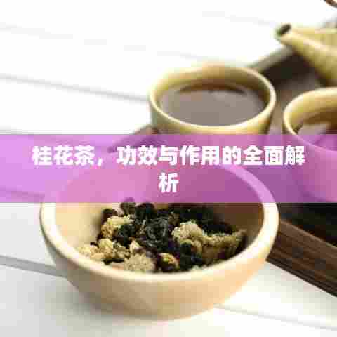 桂花茶,功效与作用的全面解析