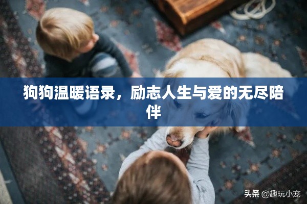 狗狗温暖语录,励志人生与爱的无尽陪伴