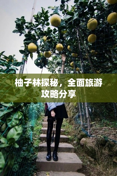 柚子林探秘，全面旅游攻略分享