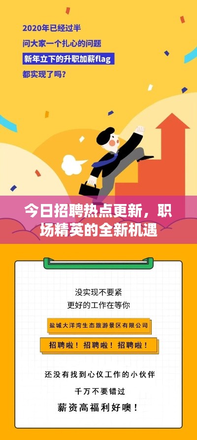 今日招聘热点更新,职场精英的全新机遇