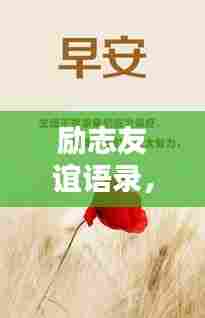 手舞足蹈 第2页