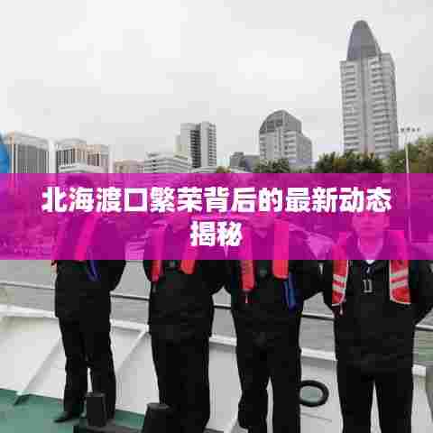 北海渡口繁荣背后的最新动态揭秘