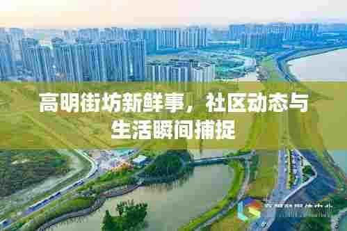 高明街坊新鲜事,社区动态与生活瞬间捕捉