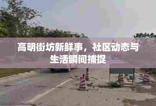 高明街坊新鲜事,社区动态与生活瞬间捕捉