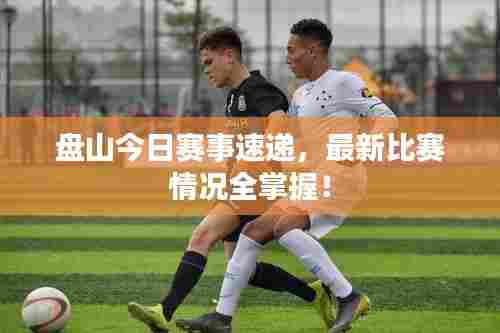 盘山今日赛事速递,最新比赛情况全掌握!