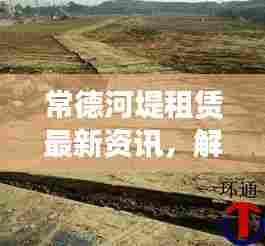 常德河堤租赁最新资讯,解析河堤出租市场现状及联系方式