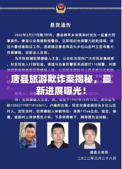 熊经鸟申 第3页