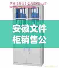 安徽文件柜销售公司排行榜,权威排名榜单揭晓!