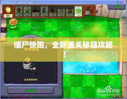 僵尸快跑，全新通关秘籍攻略！