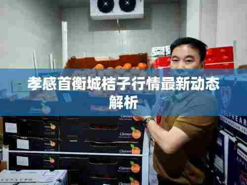 孝感首衡城桔子行情最新动态解析