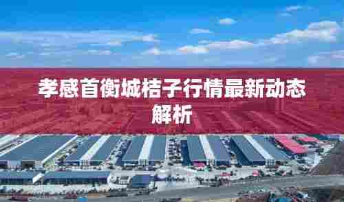 孝感首衡城桔子行情最新动态解析