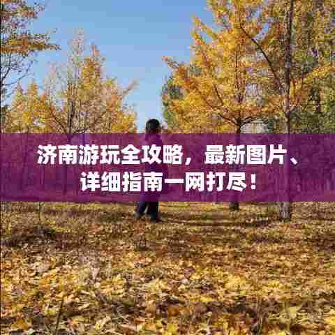 济南游玩全攻略,最新图片、详细指南一网打尽!