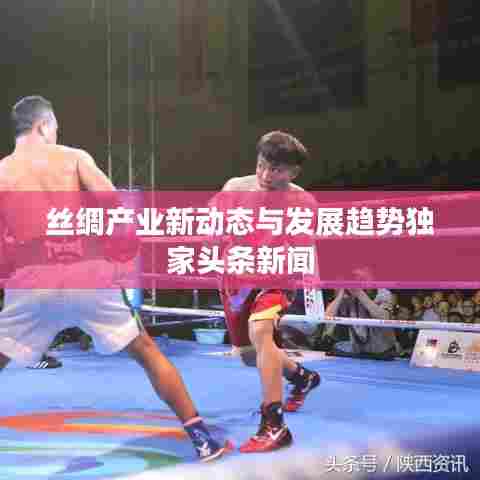 丝绸产业新动态与发展趋势独家头条新闻