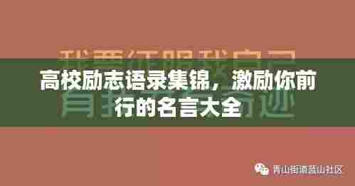 高校励志语录集锦，激励你前行的名言大全