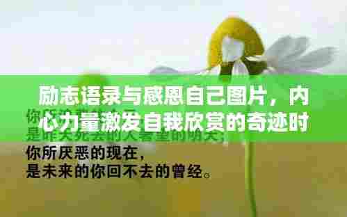 励志语录与感恩自己图片,内心力量激发自我欣赏的奇迹时刻