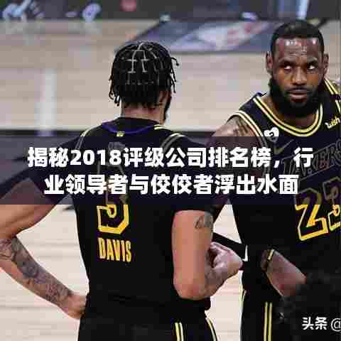 揭秘2018评级公司排名榜,行业领导者与佼佼者浮出水面