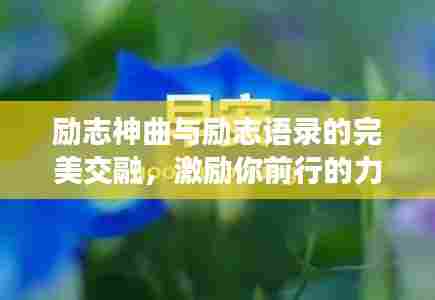 励志神曲与励志语录的完美交融,激励你前行的力量
