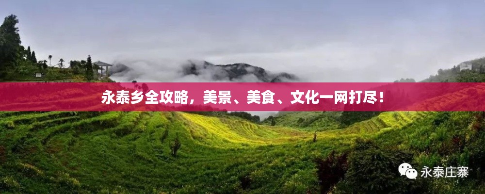 永泰乡全攻略，美景、美食、文化一网打尽！
