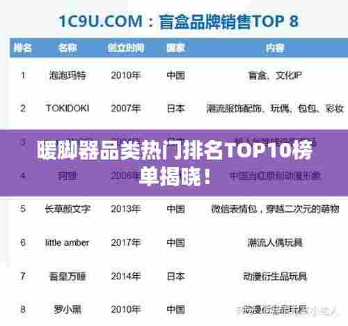 暖脚器品类热门排名TOP10榜单揭晓!
