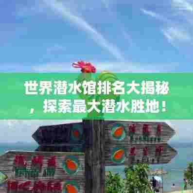 世界潜水馆排名大揭秘,探索最大潜水胜地!