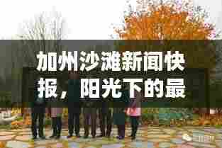 加州沙滩新闻快报,阳光下的最新动态揭秘