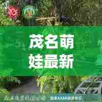 茂名萌娃最新动态更新！