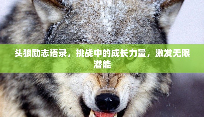 学而不厌 第2页