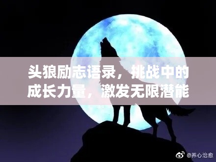 头狼励志语录,挑战中的成长力量,激发无限潜能