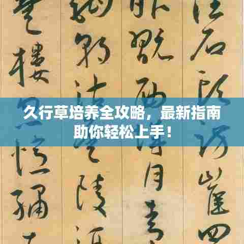 久行草培养全攻略,最新指南助你轻松上手!