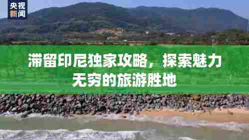 鸟飞兔走 第2页