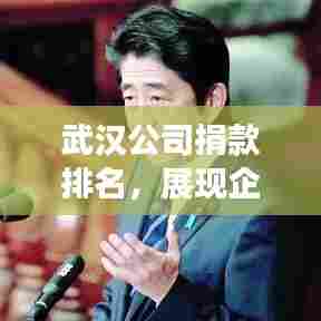 武汉公司捐款排名,展现企业社会责任担当的时刻