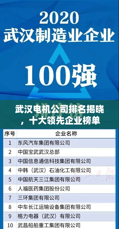 武汉电机公司排名揭晓，十大领先企业榜单