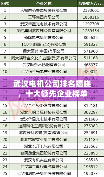 武汉电机公司排名揭晓,十大领先企业榜单