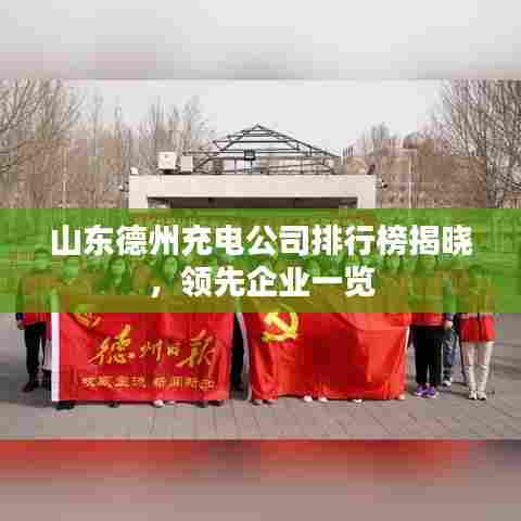 山东德州充电公司排行榜揭晓，领先企业一览