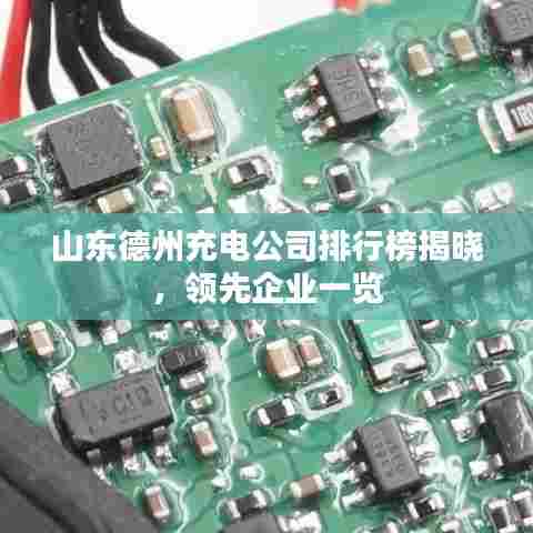 山东德州充电公司排行榜揭晓,领先企业一览