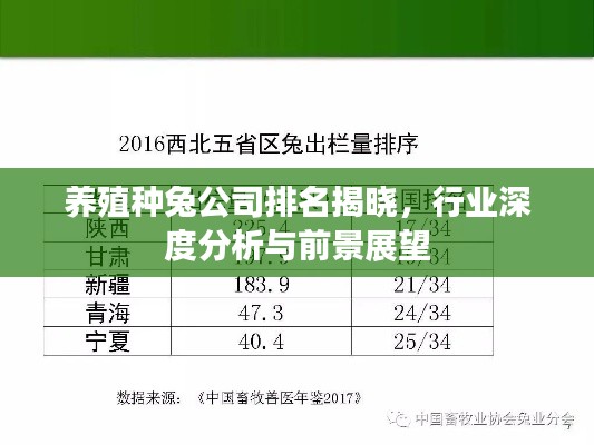 养殖种兔公司排名揭晓,行业深度分析与前景展望